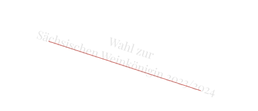 Wahl zur  Sächsischen Weinkönigin 2023/2024