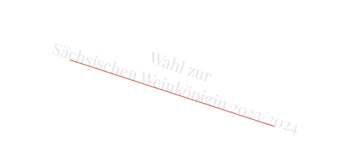 Wahl zur  Sächsischen Weinkönigin 2023/2024