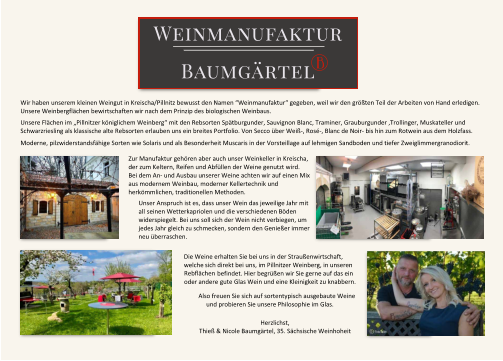 “Weinmanufaktur“ gegeben, weil wir den größten Teil der Arbeiten von Hand erledigen. im „Pillnitzer königlichem Weinberg“ mit den Rebsorten Spätburgunder, Sauvignon Blanc, Traminer, Foto Kahle C